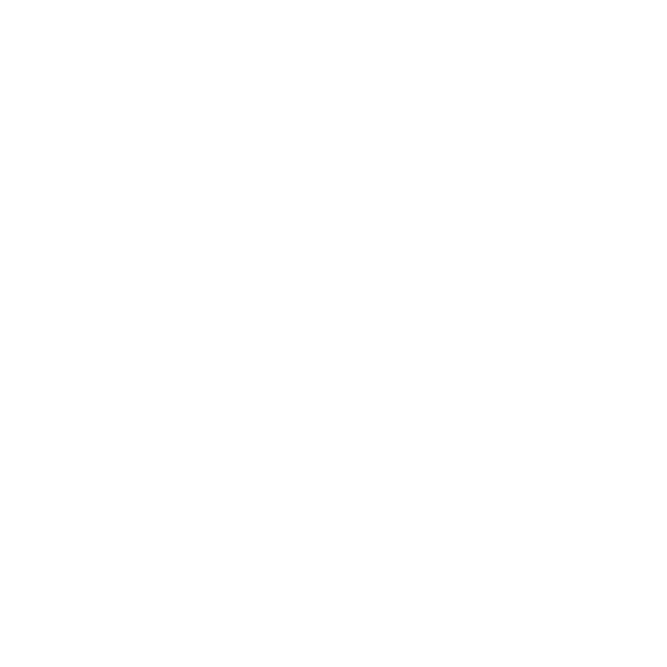 Badger 2 logo