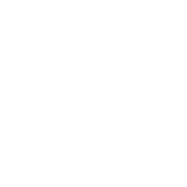 Badger Pro logo