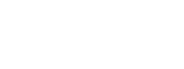 LINK Harness logo