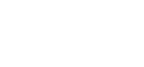 XR X